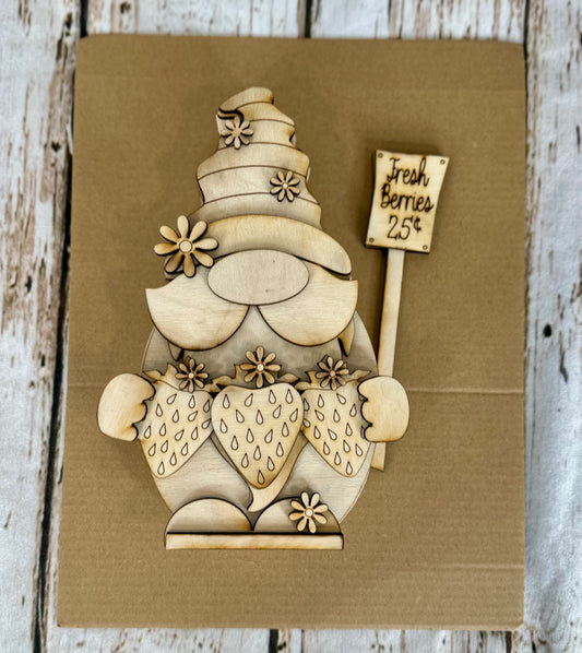 DIY Chunky Strawberry Gnome Kit