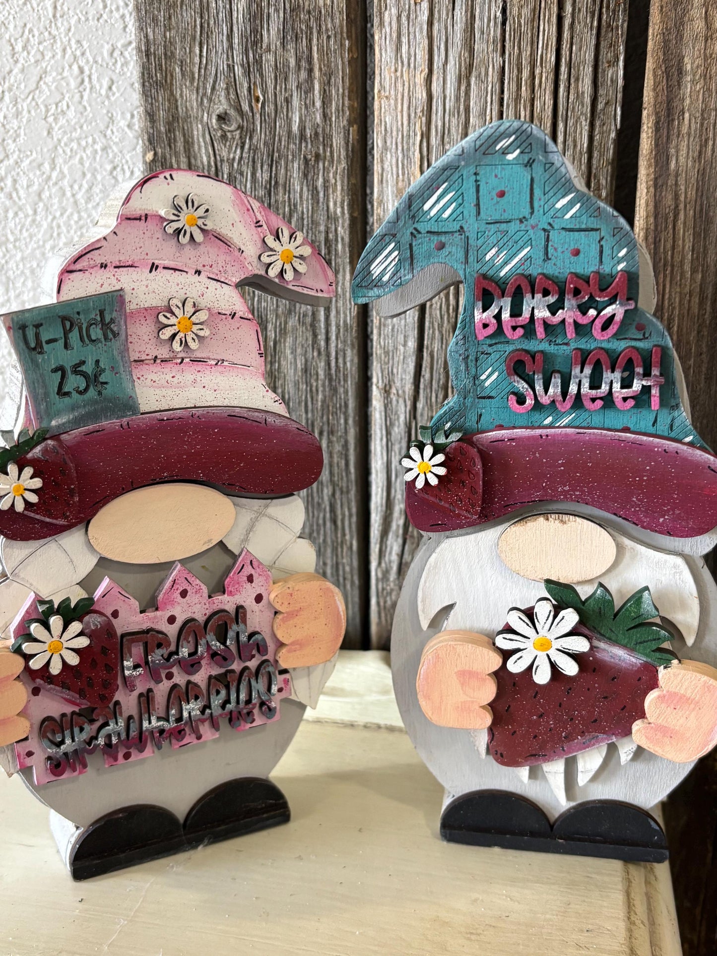 Interchangeable Gnome Starter kit and Next months outfit