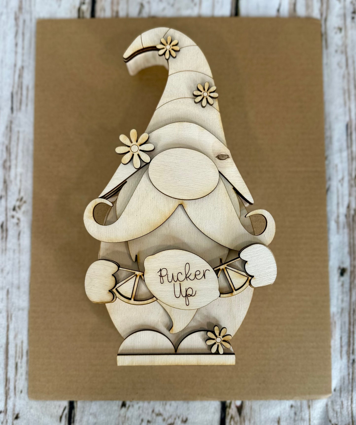 DIY Chunky Pucker up Gnome kit