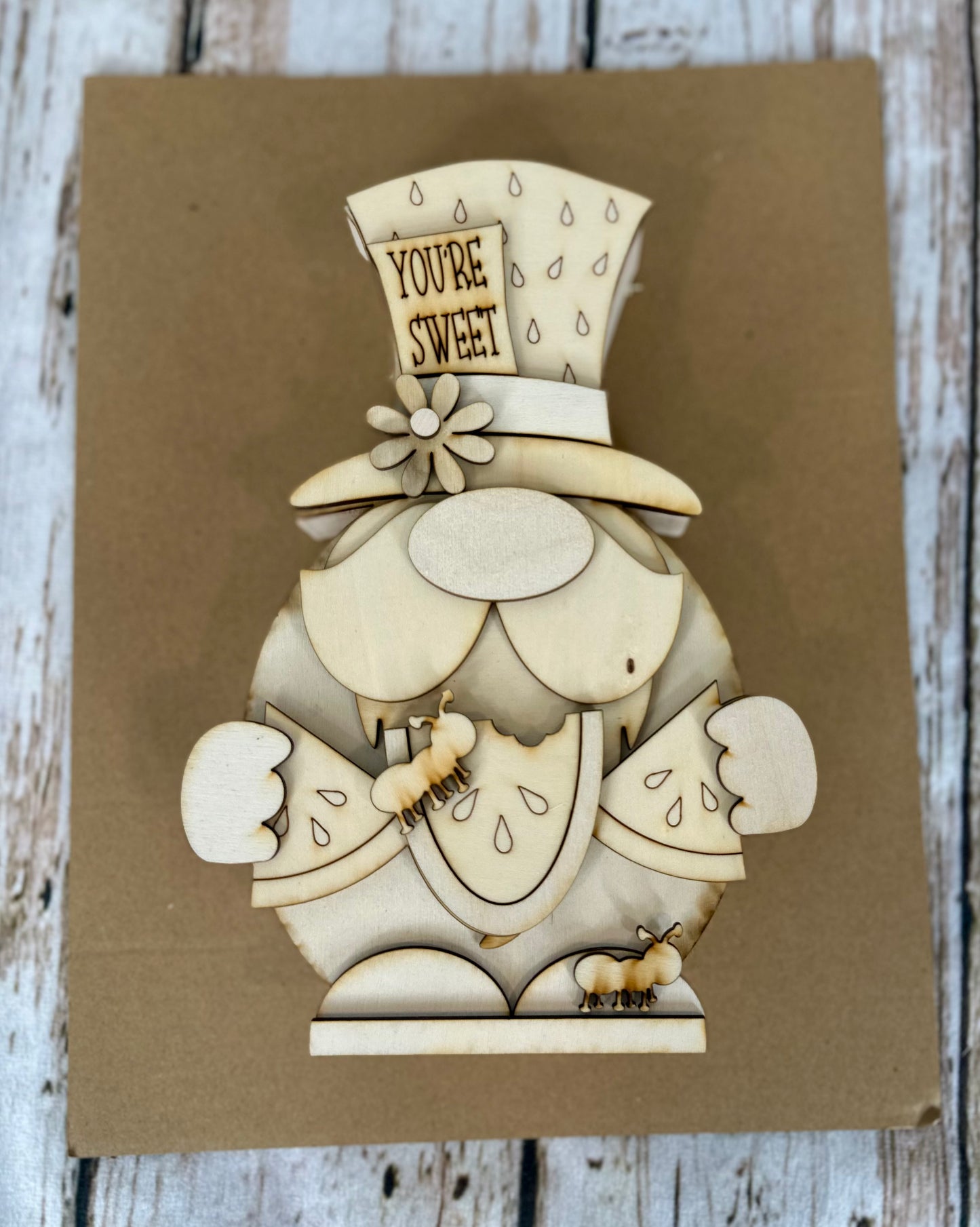 DIY Chunky Watermelon Gnome Kit
